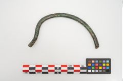 Foto von Bronzehalsring (NHMW-PRAE-024330)